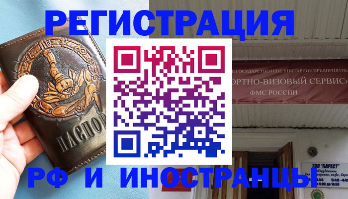 прописка поиск в Котово